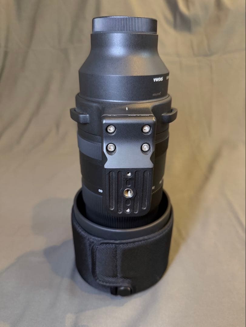 SIGMA 150-600mm F5-6.3 DG DNソニーEマウント