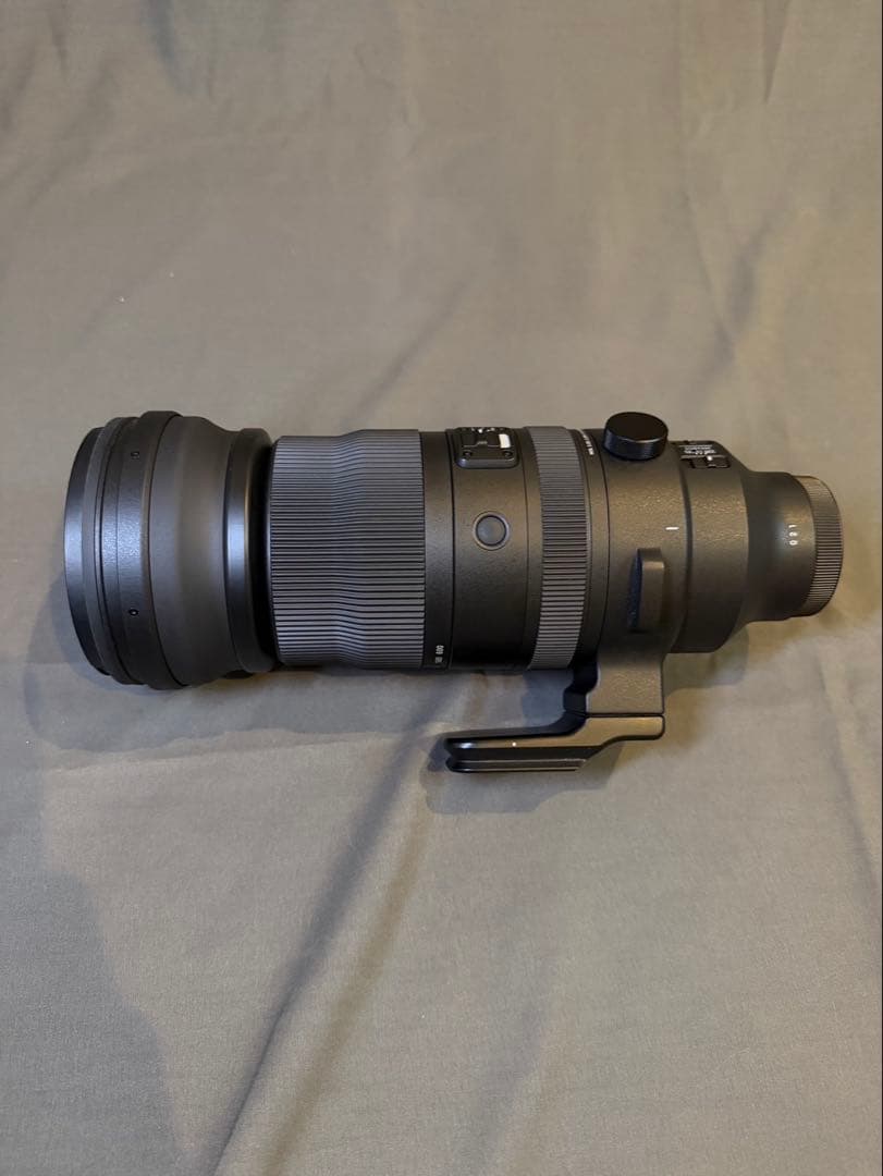 SIGMA 150-600mm F5-6.3 DG DNソニーEマウント