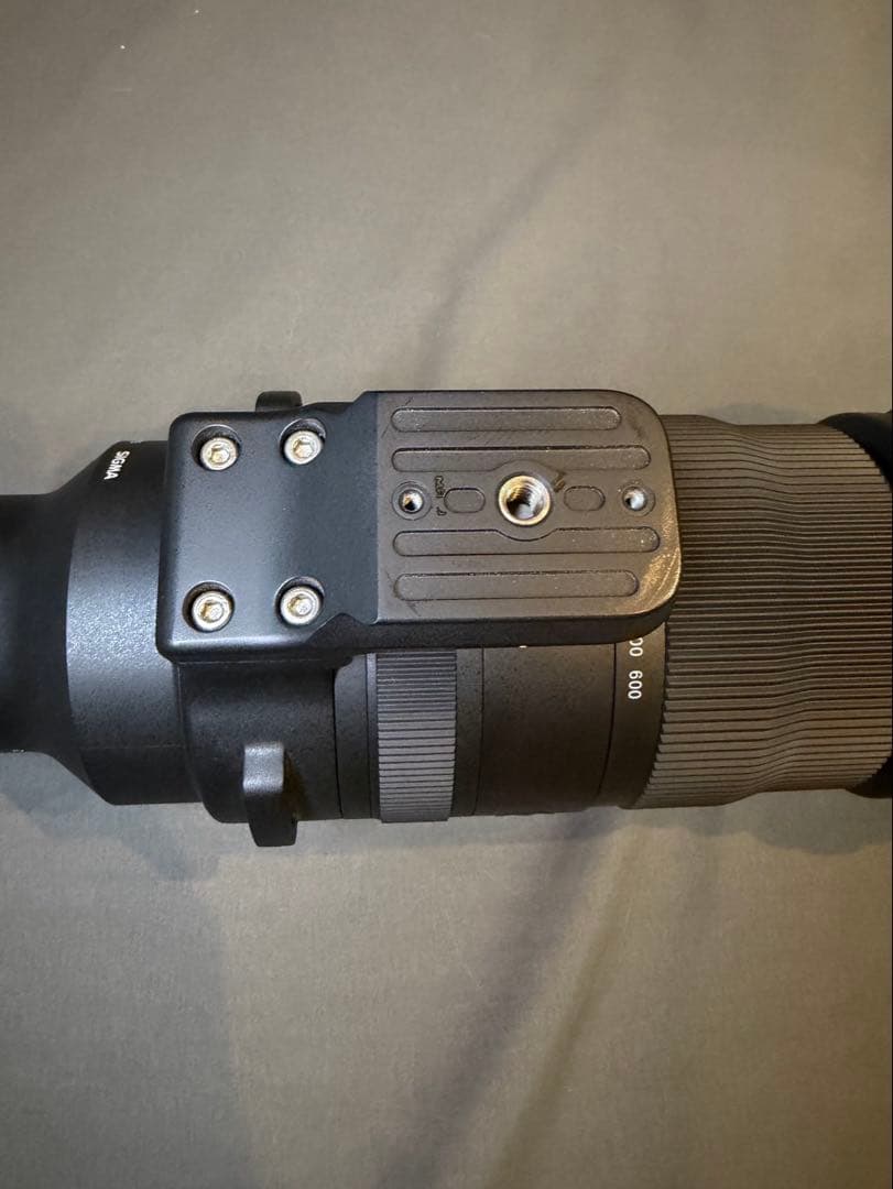SIGMA 150-600mm F5-6.3 DG DNソニーEマウント