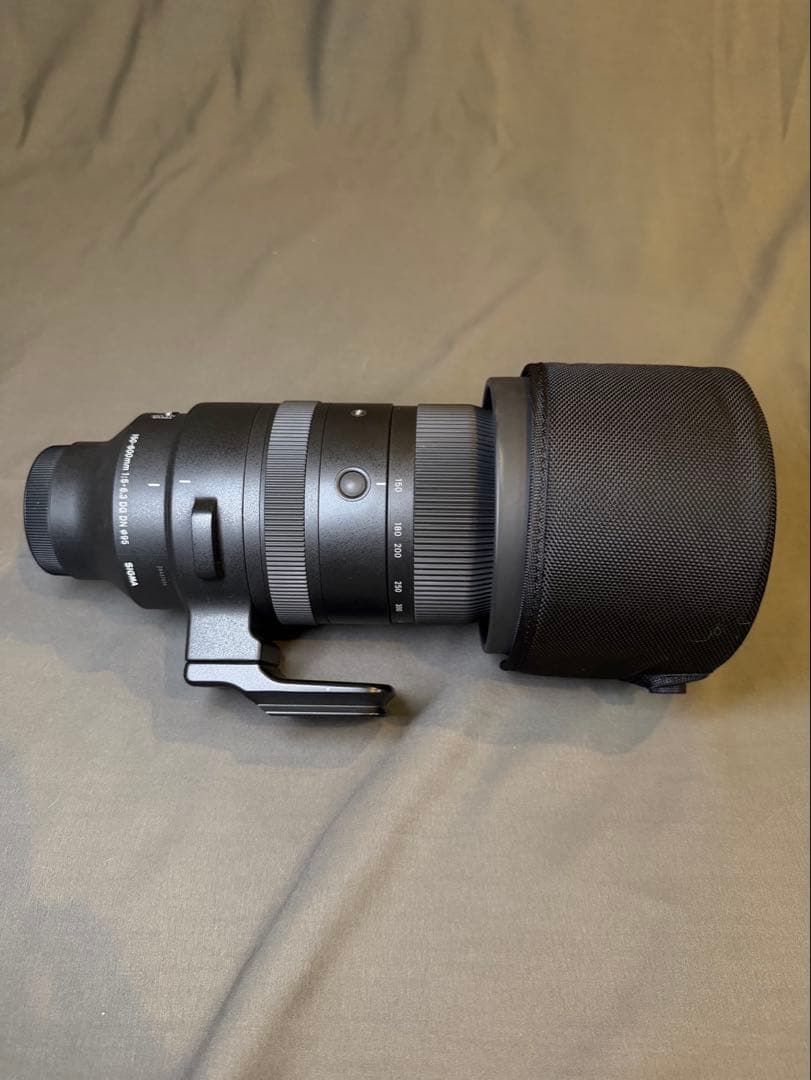 SIGMA 150-600mm F5-6.3 DG DNソニーEマウント