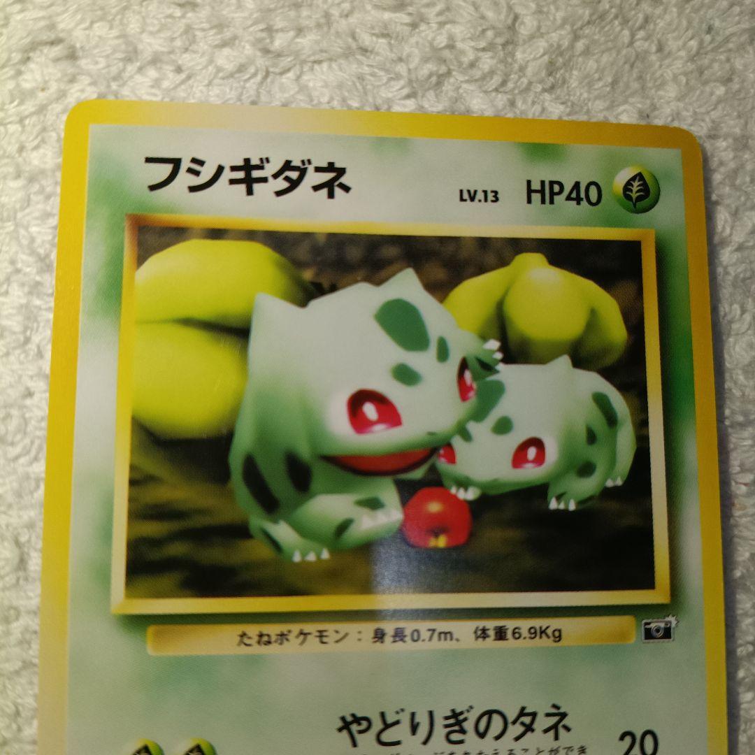 転*い様 ポケモンカードフシギダネ_ポケモンスナップ