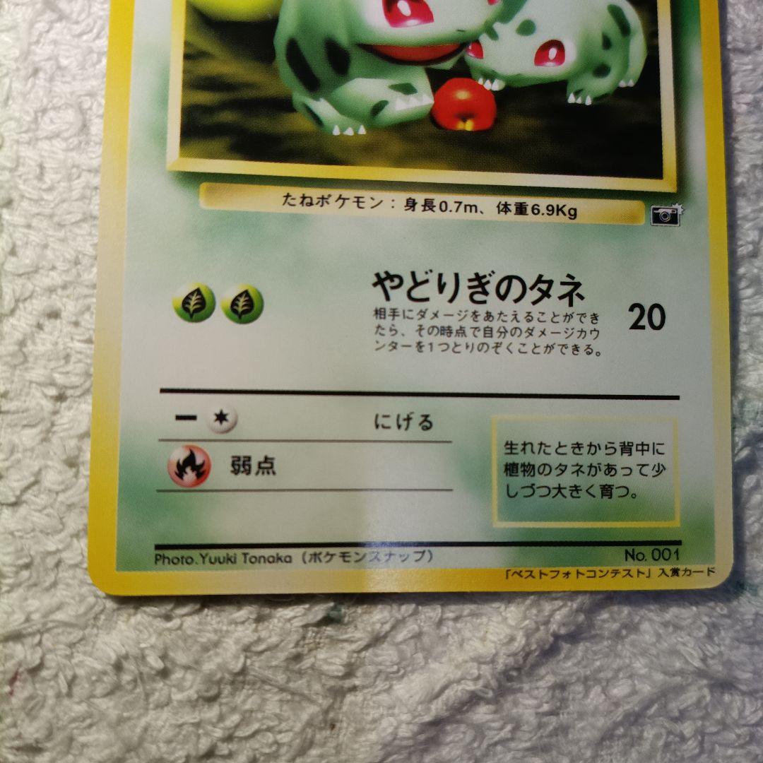 転*い様 ポケモンカードフシギダネ_ポケモンスナップ