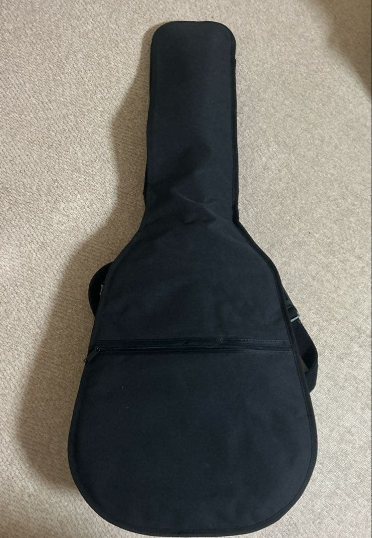 Takamine(タカミネ)アコースティックギター アコギ ソフトケース付き
