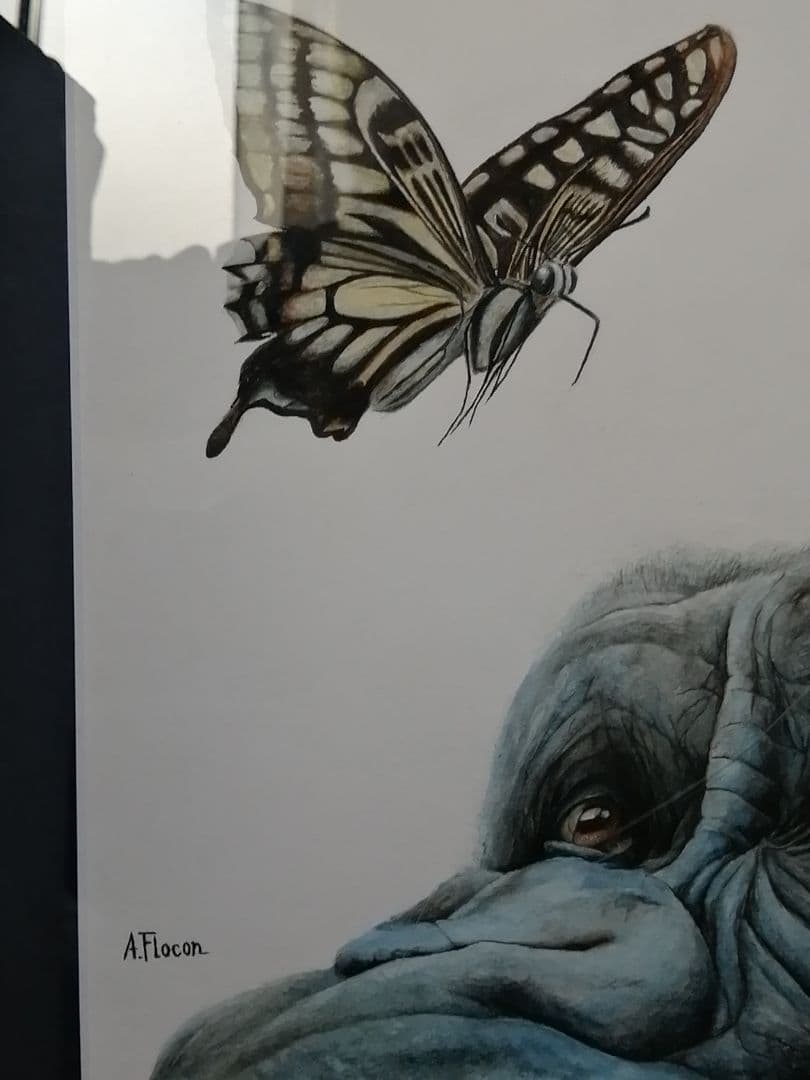 絵画 A. Fiocon ゴリラと蝶の絵画 額絵 画家 アトリエ ヤマダ 本物