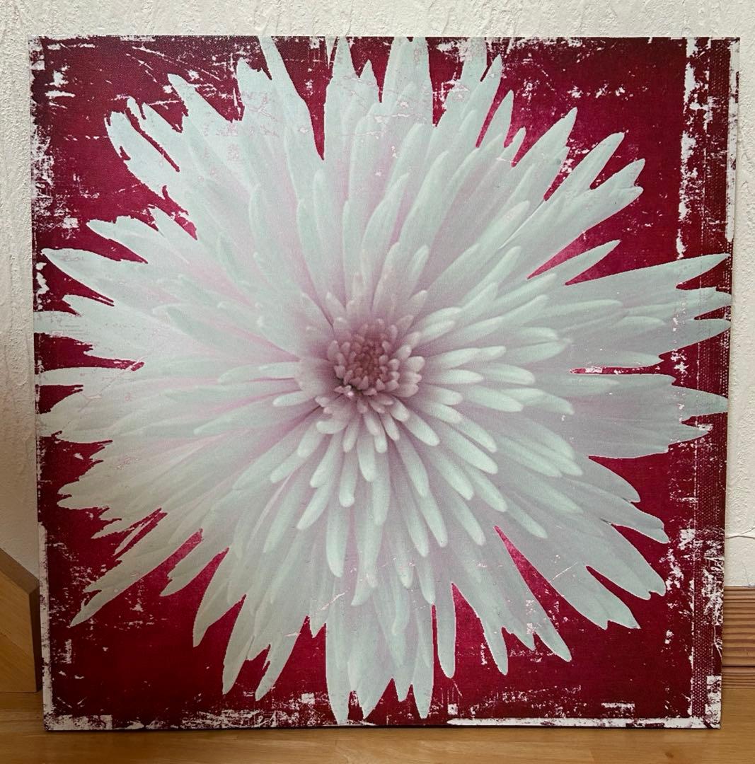 francfranc アートパネル　絵画　花柄　インテリア　レトロ
