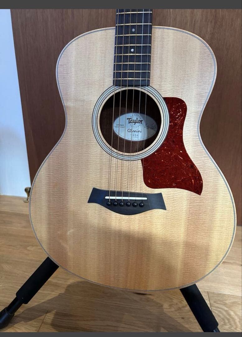 新同品　Taylor GS mini テイラー