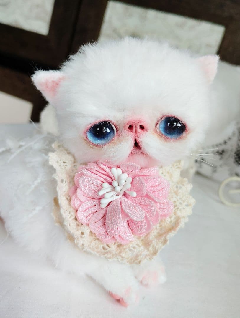 うるるんオメメ♡エキゾチック子猫ちゃん♡アートドール♡ぬいぐるみ♡