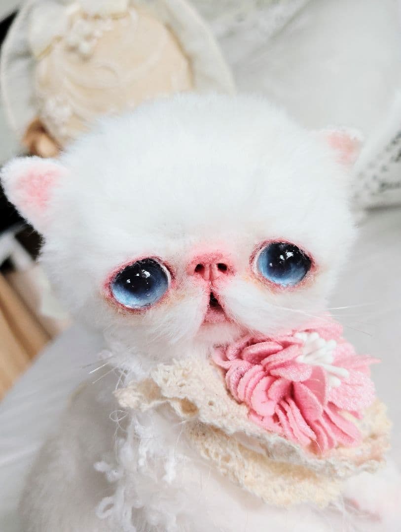 うるるんオメメ♡エキゾチック子猫ちゃん♡アートドール♡ぬいぐるみ♡