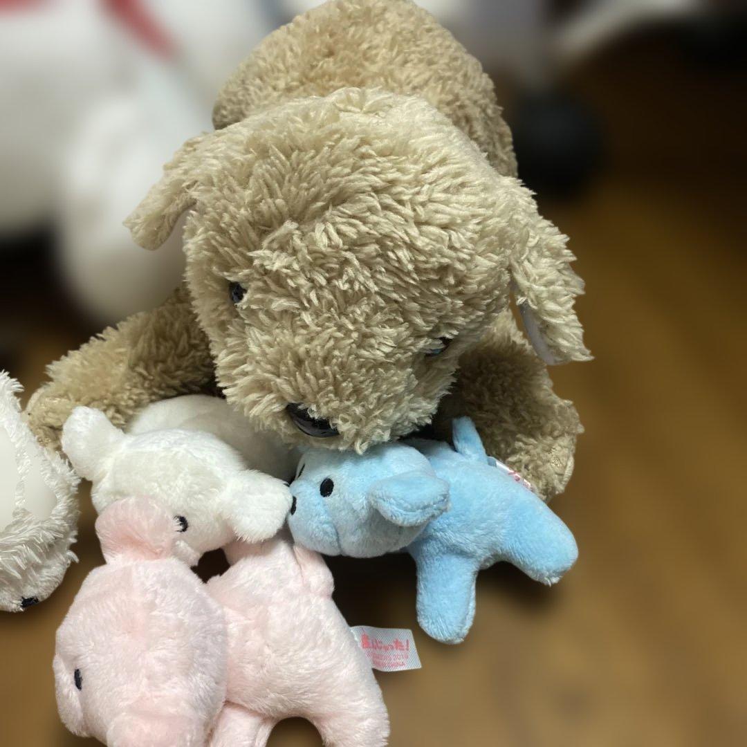 ぬいぐるみ　まとめ売り　ポケモン　コナン　ディズニー　八景島　いぬ産んじゃった他