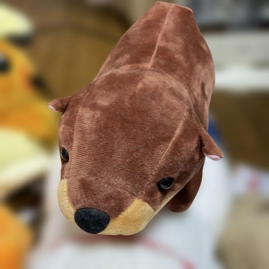 ぬいぐるみ　まとめ売り　ポケモン　コナン　ディズニー　八景島　いぬ産んじゃった他