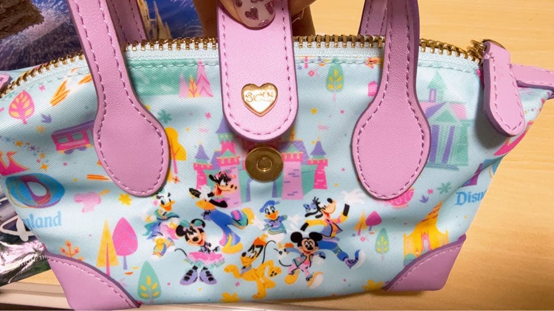 【70周年限定】カリフォルニアディズニーDisney land ポーチ・バッグ