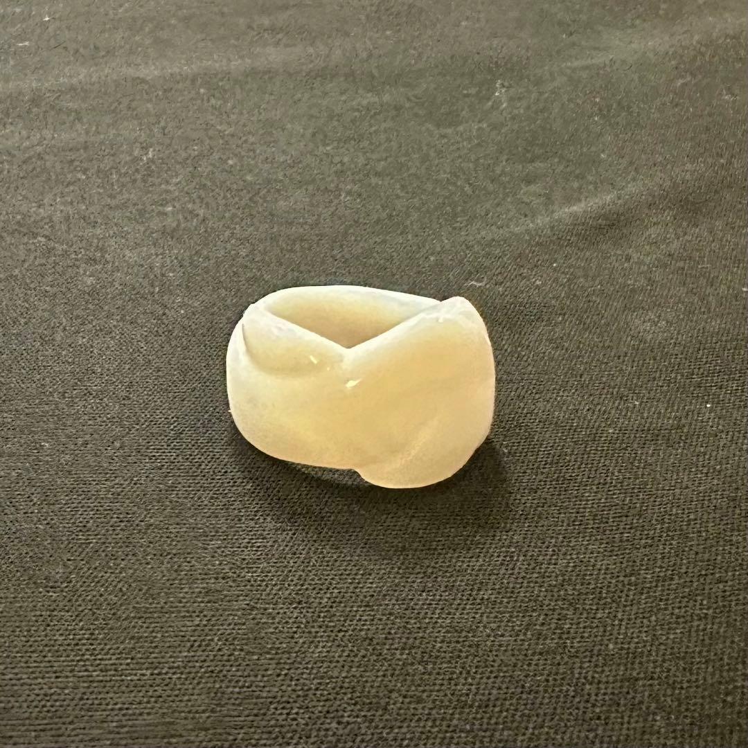 2024.3最新作品　白イルカ指輪