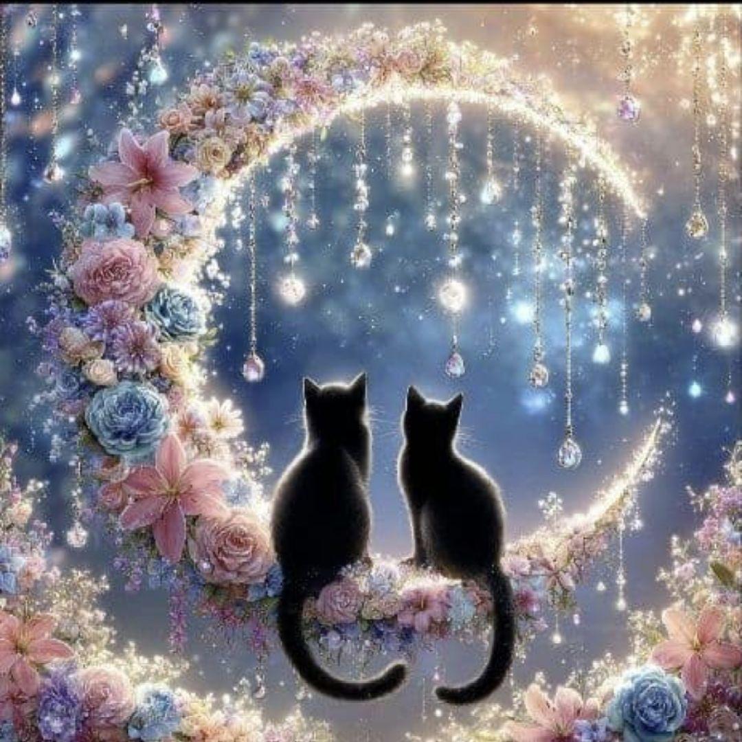 ❀ナミネ@プロフ確認お願い致します❀