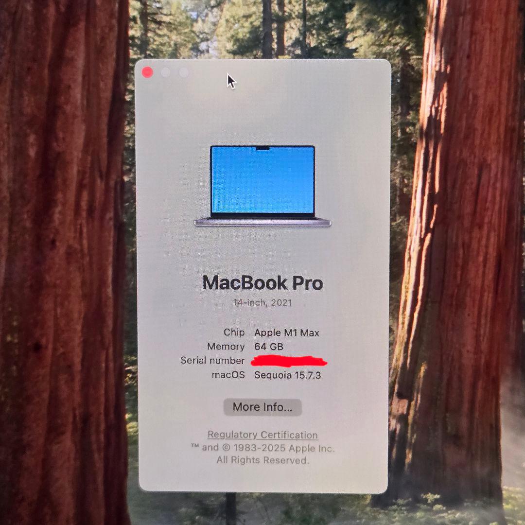 MacBook本体 MacBook Pro 2021 M1 Max 64GB/2TB
