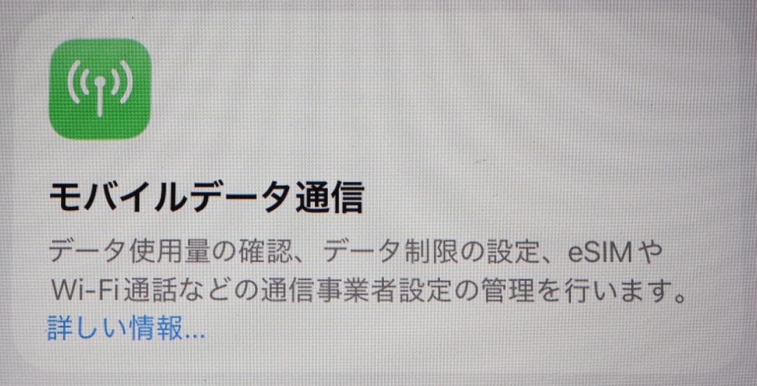 美品iPad mini6 第6世代 セルラー バッテリー良好 充電器 ケーブル箱