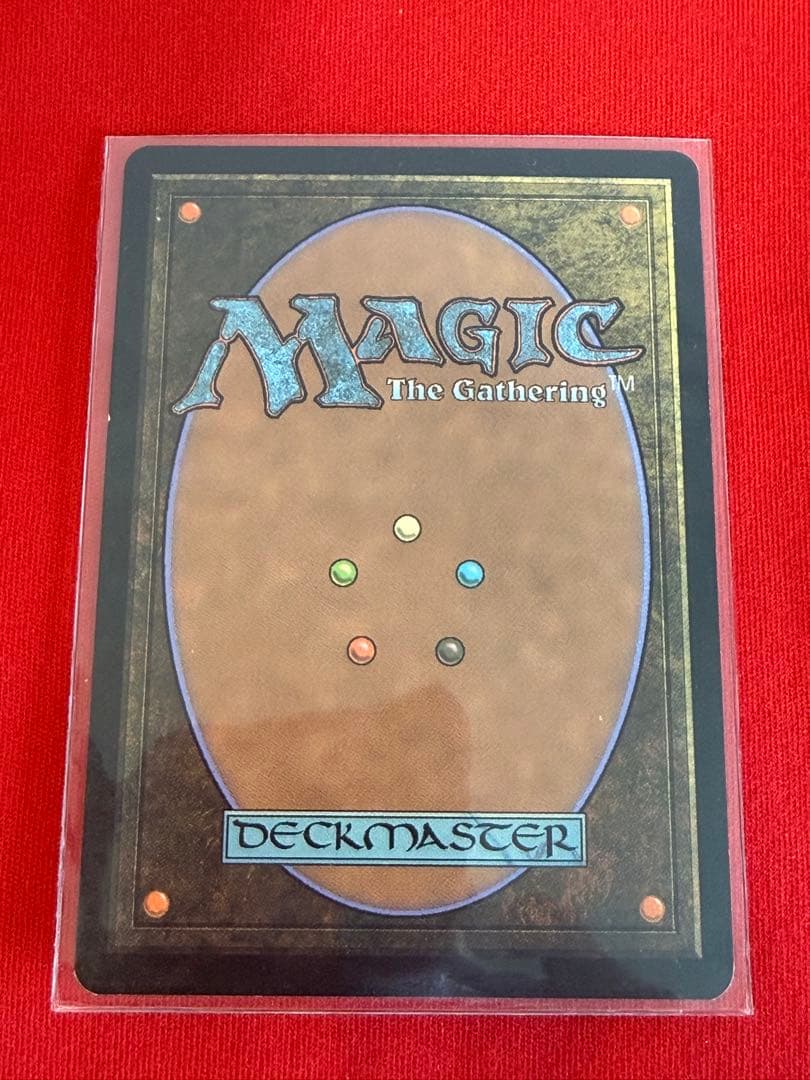 MTG Wooded Foothills 樹木茂る山麓 マジックザギャザリング