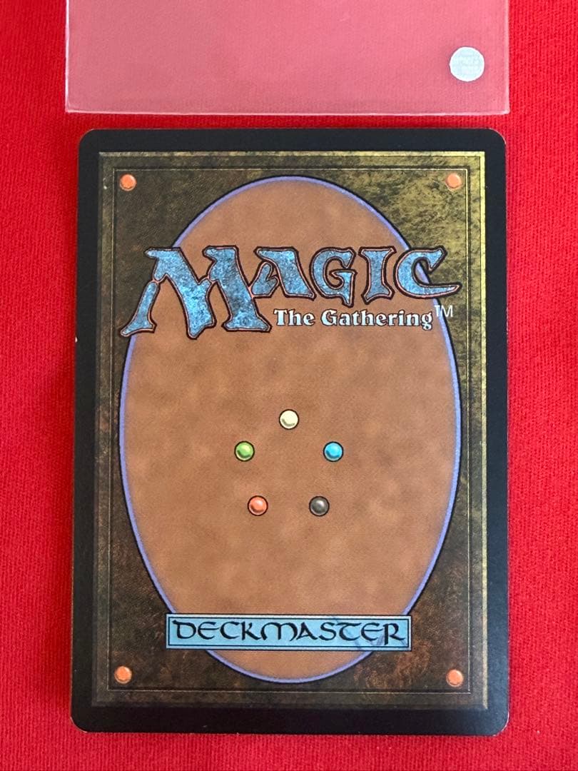 MTG Wooded Foothills 樹木茂る山麓 マジックザギャザリング