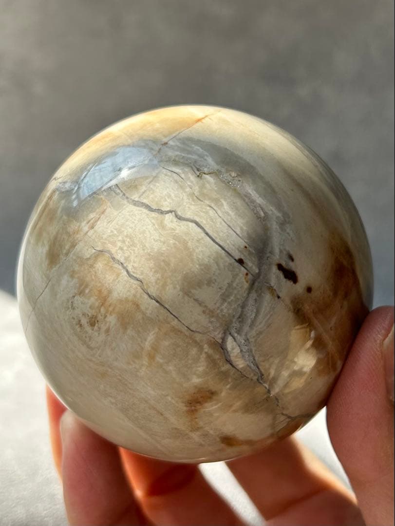 ペトリファイドウッド 珪化木 スフィア マダガスカル産