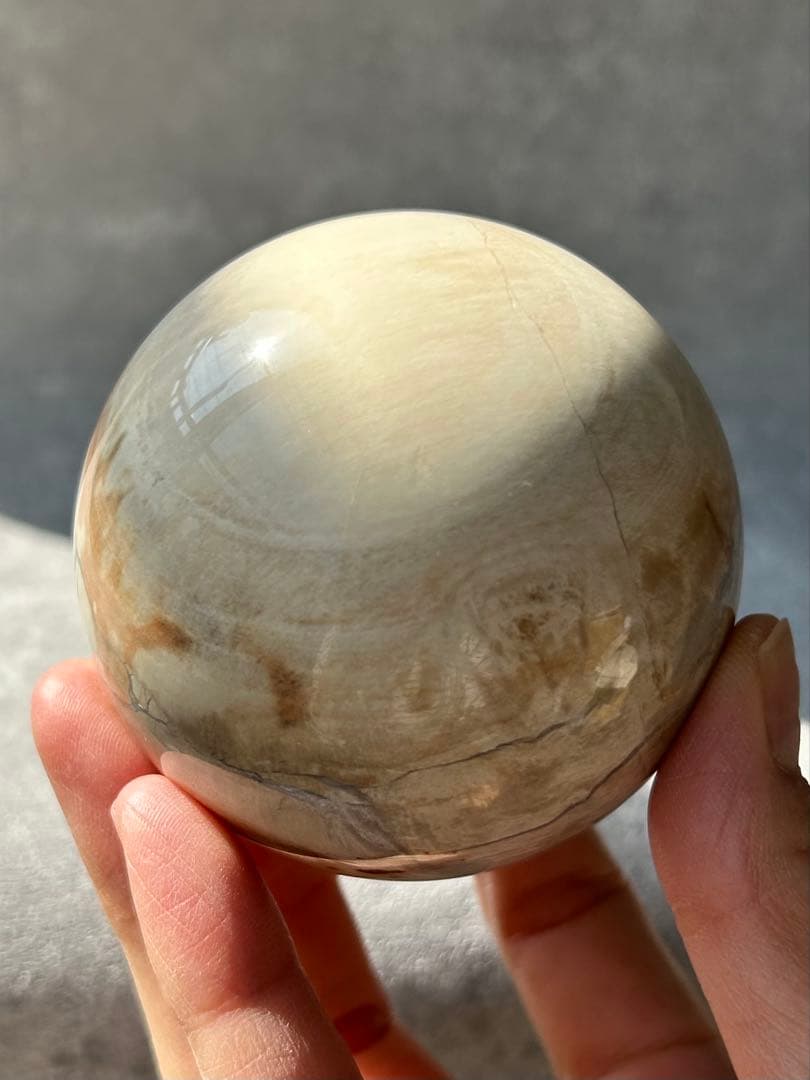 ペトリファイドウッド 珪化木 スフィア マダガスカル産