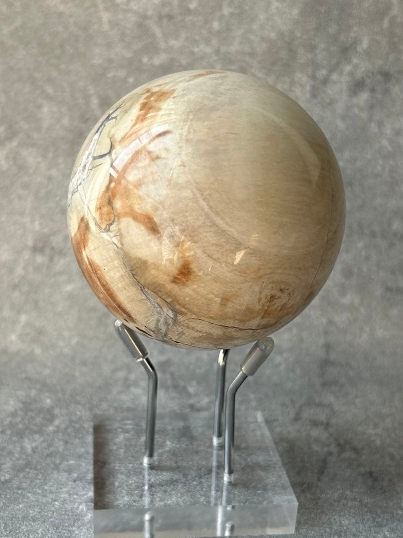 ペトリファイドウッド 珪化木 スフィア マダガスカル産