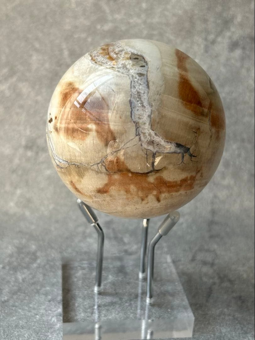 ペトリファイドウッド 珪化木 スフィア マダガスカル産