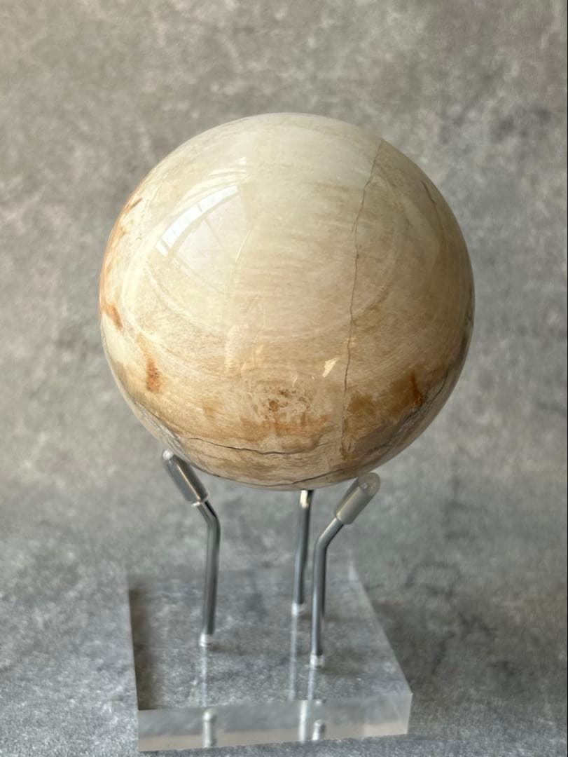 ペトリファイドウッド 珪化木 スフィア マダガスカル産