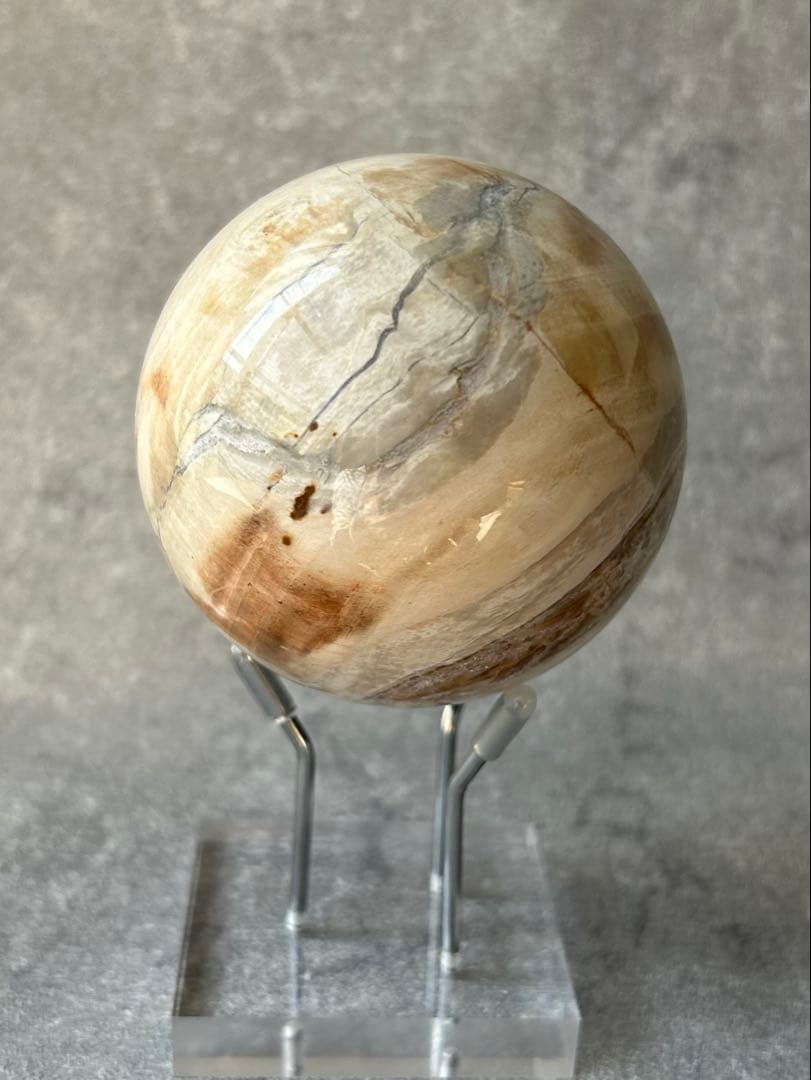 ペトリファイドウッド 珪化木 スフィア マダガスカル産