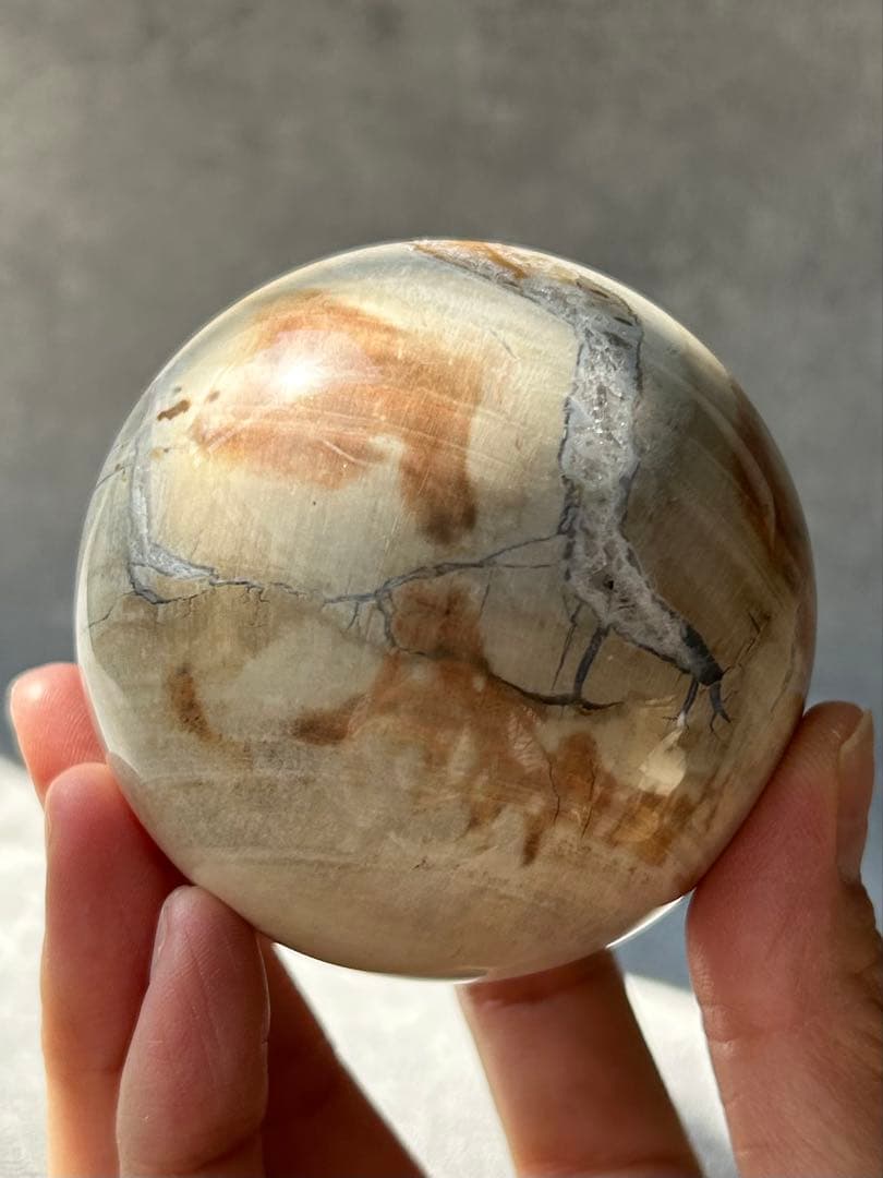 ペトリファイドウッド 珪化木 スフィア マダガスカル産