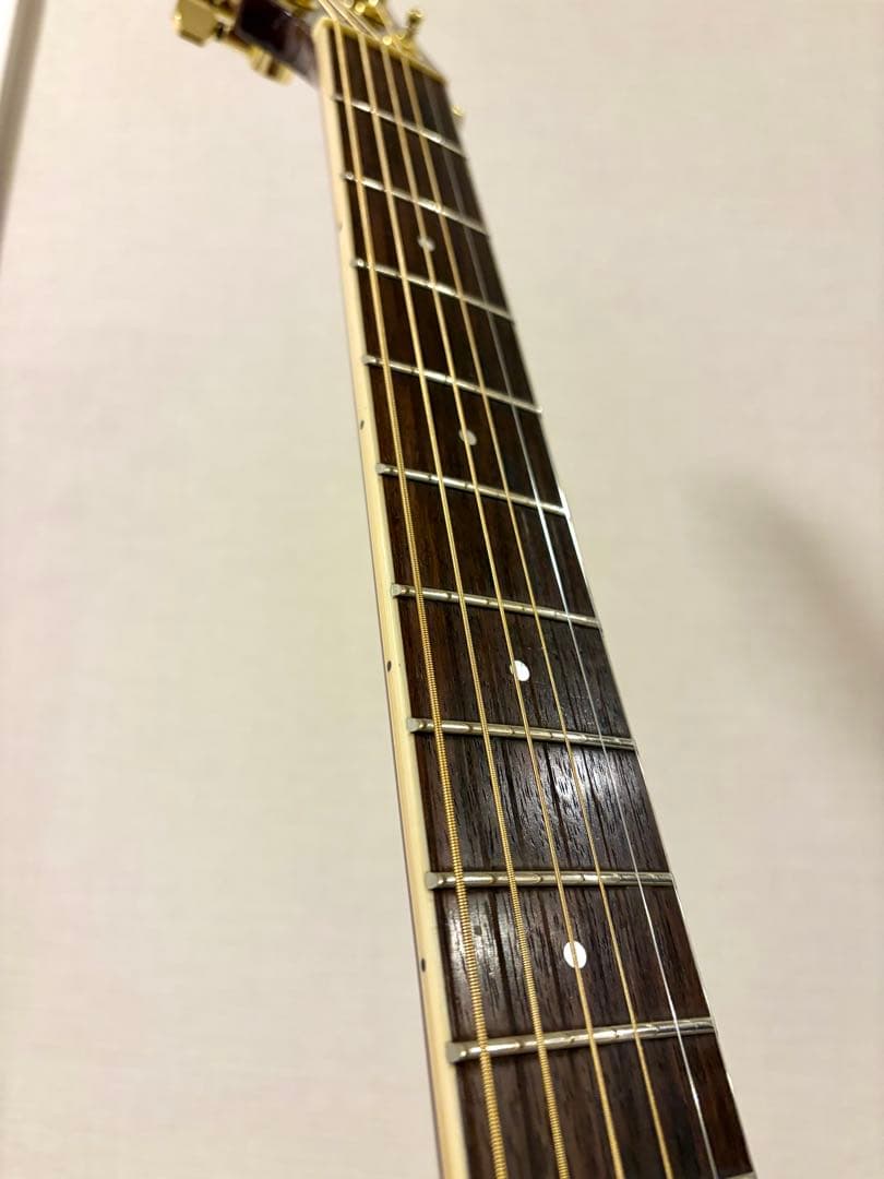 MICHAEL M62 エレアコ　アーチトップ　美品