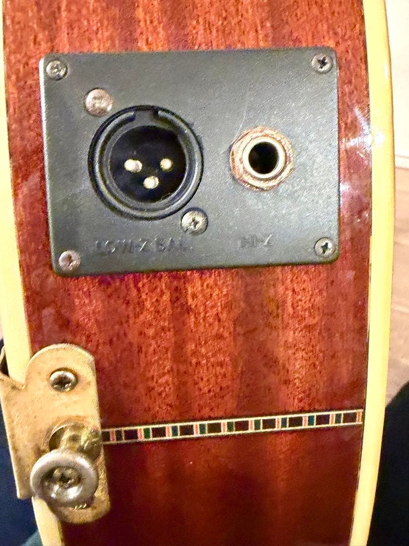 MICHAEL M62 エレアコ　アーチトップ　美品