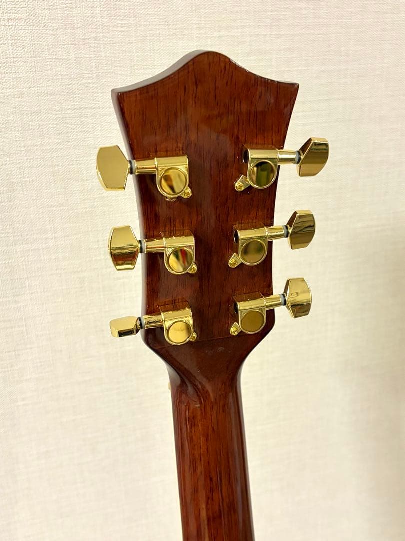 MICHAEL M62 エレアコ　アーチトップ　美品