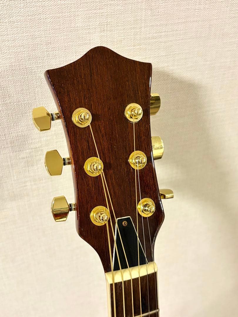 MICHAEL M62 エレアコ　アーチトップ　美品