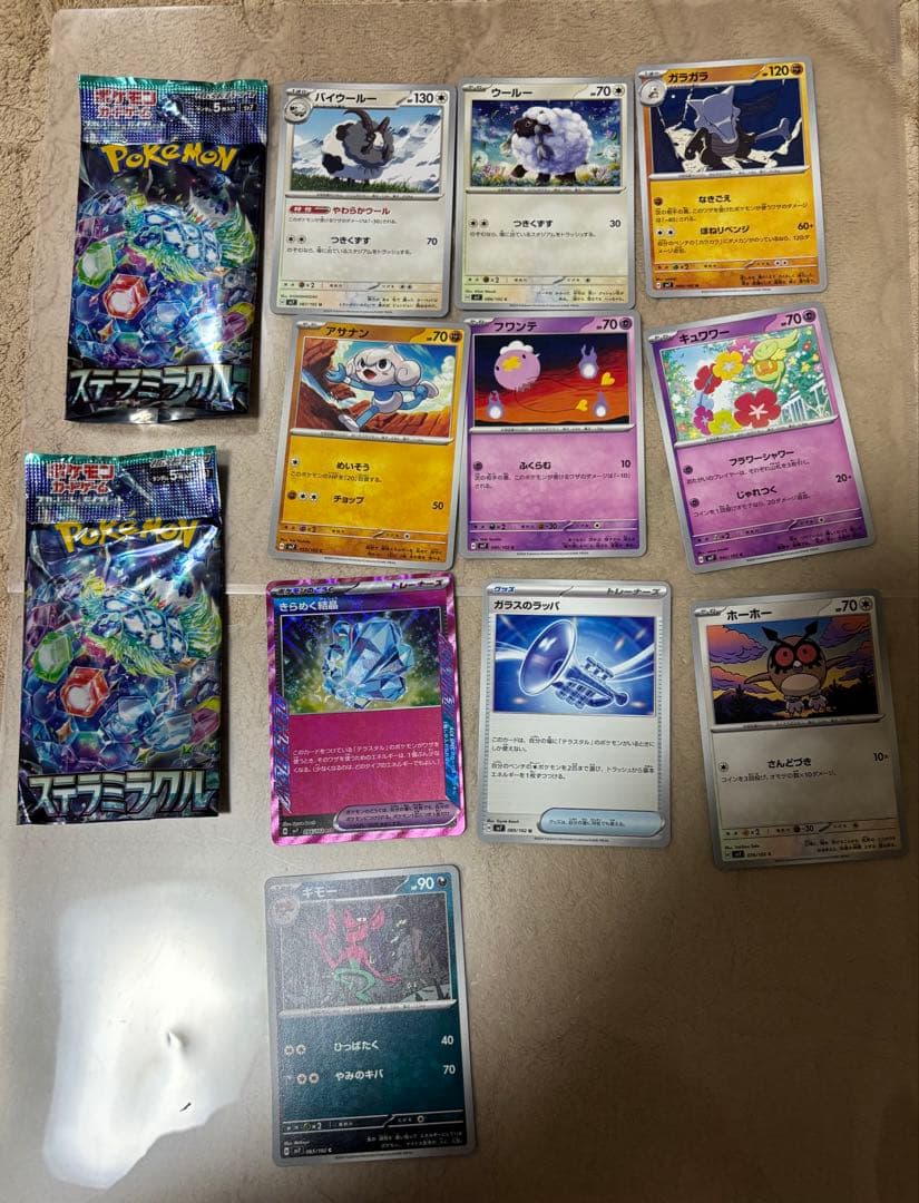 オーガポン、ピカチュウ、ぬいぐるみ、ポケカ複数枚(適当)