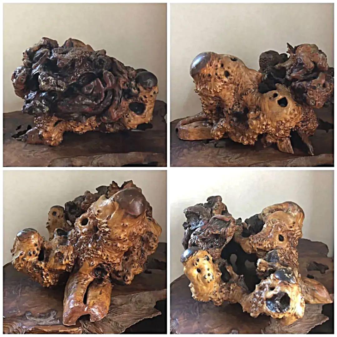 飾り 瘤古木 盆栽 3511㌘ 処分価格