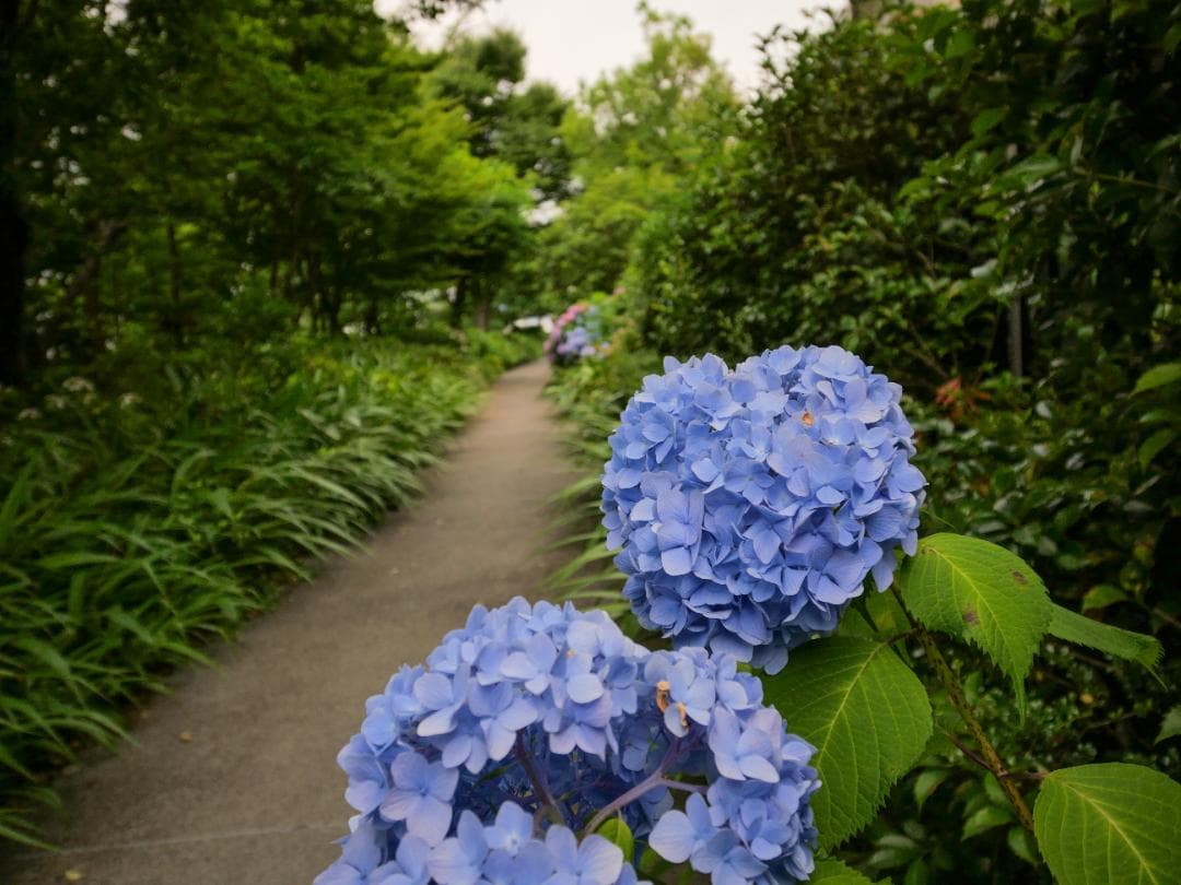 【良品】LUMIX 7-14mm f/4 ASPH. 超広角ズームレンズ