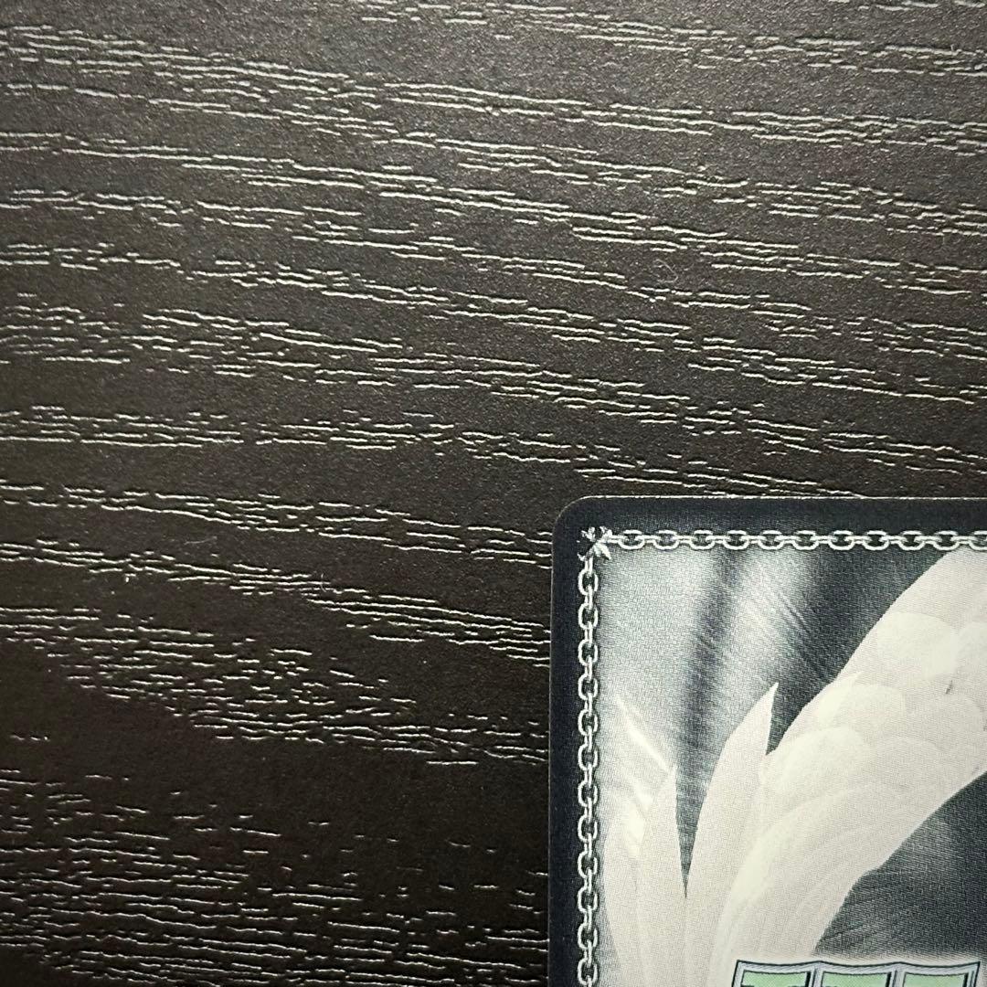 WS シリアス SP サイン