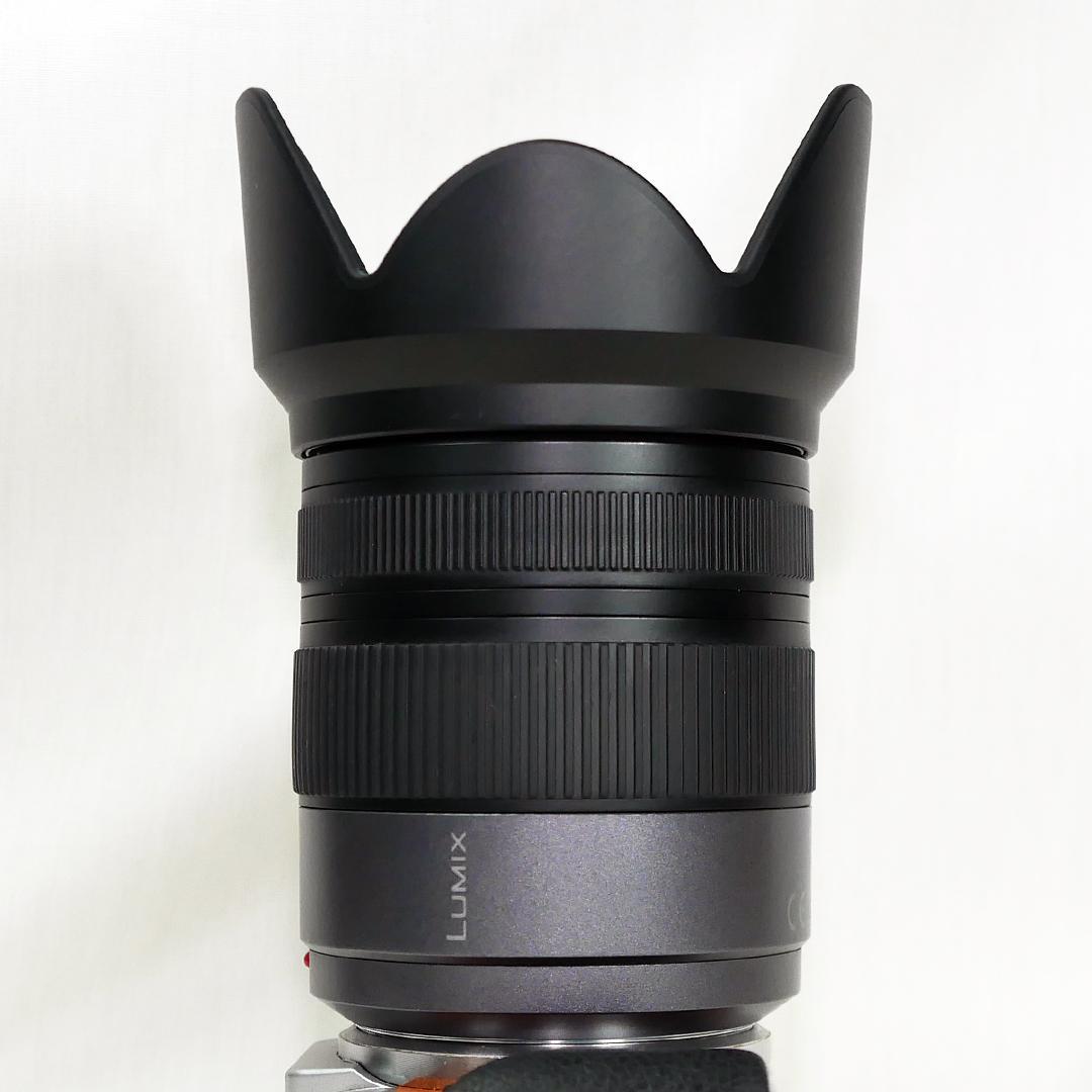 Lumix 広角・望遠ズームレンズ H-VS014140