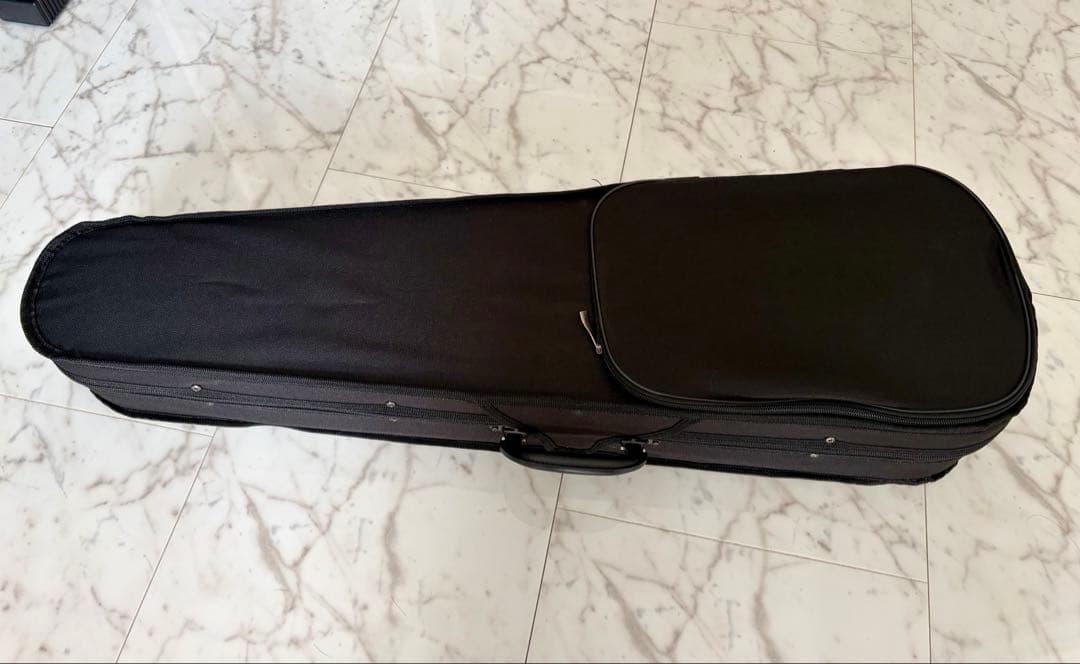 エレキバイオリン 本体 ブラック