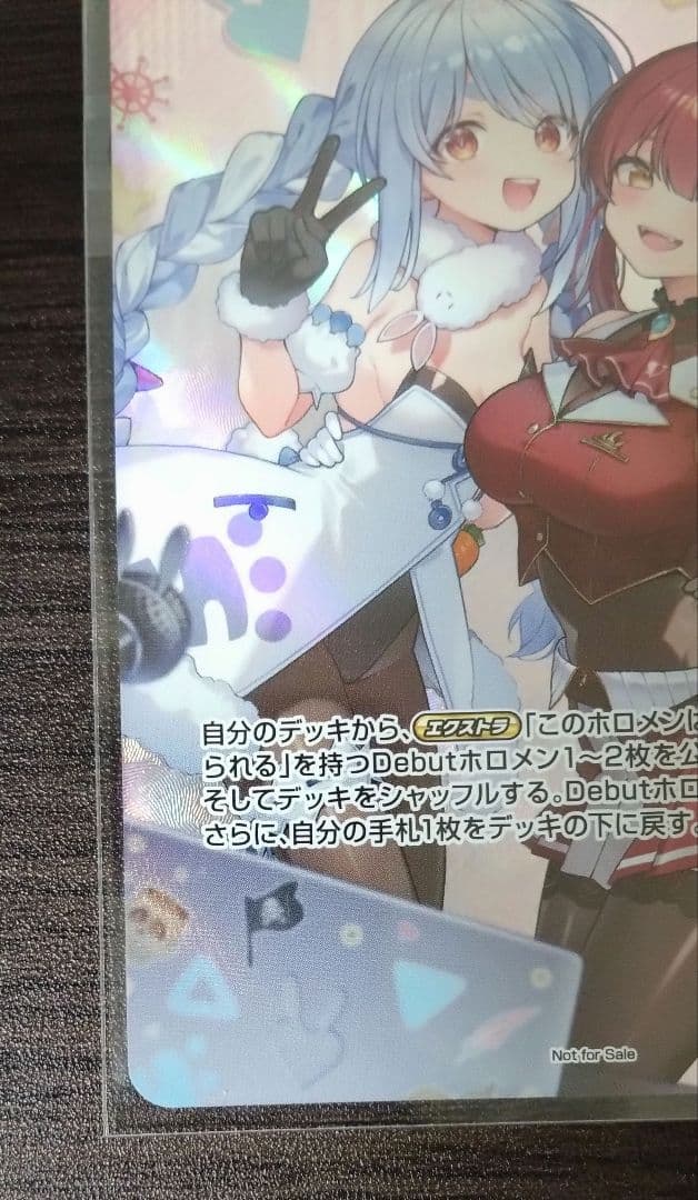 ホロカ 全国大会プロモ フレンドリーパソコン