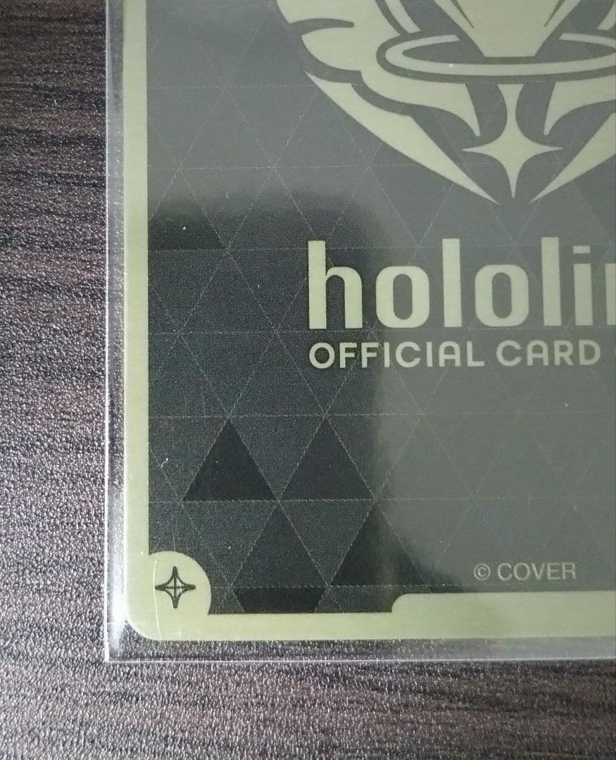 ホロカ 全国大会プロモ フレンドリーパソコン