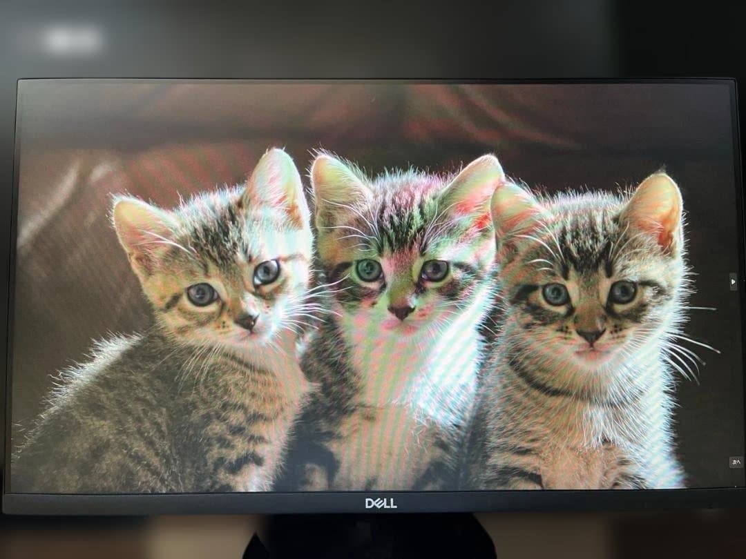 Dell S2421HS 23.8インチ モニター（モニタースタンドはなし）
