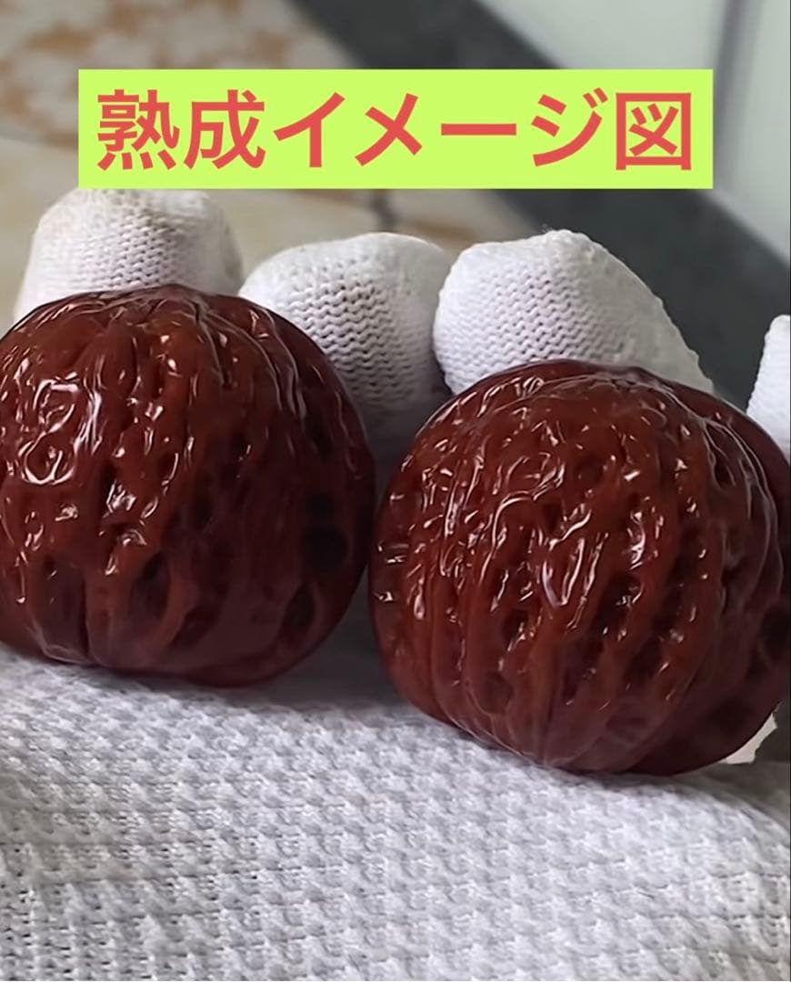 ❤️新入荷❤️No.651❤️文玩くるみ（文玩核桃） 精配紅皮铁锤妹妹