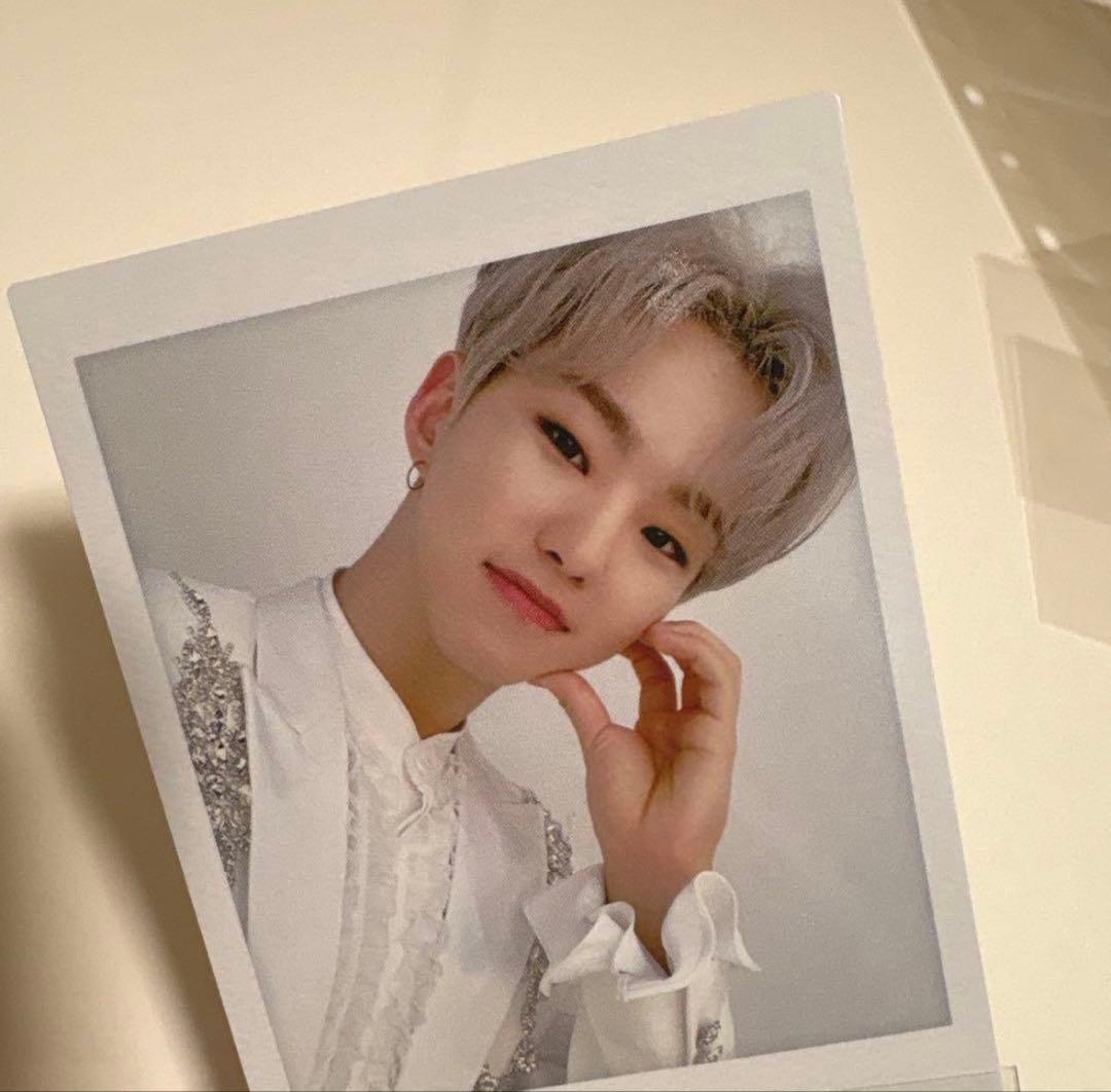 セブチ ホシ トレカ 55枚