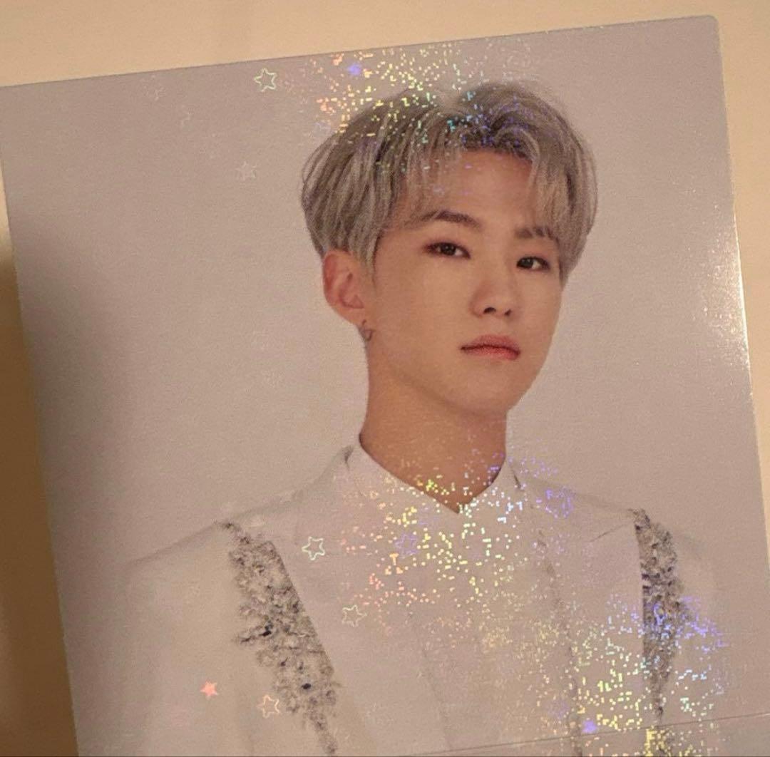 セブチ ホシ トレカ 55枚