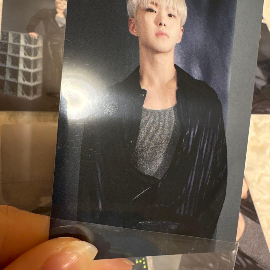 セブチ ホシ トレカ 55枚