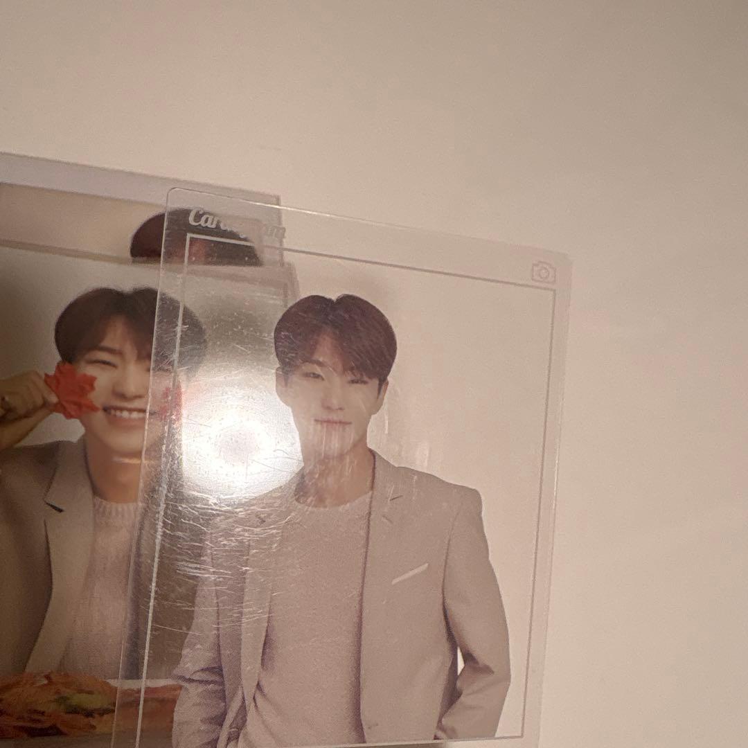 セブチ ホシ トレカ 55枚