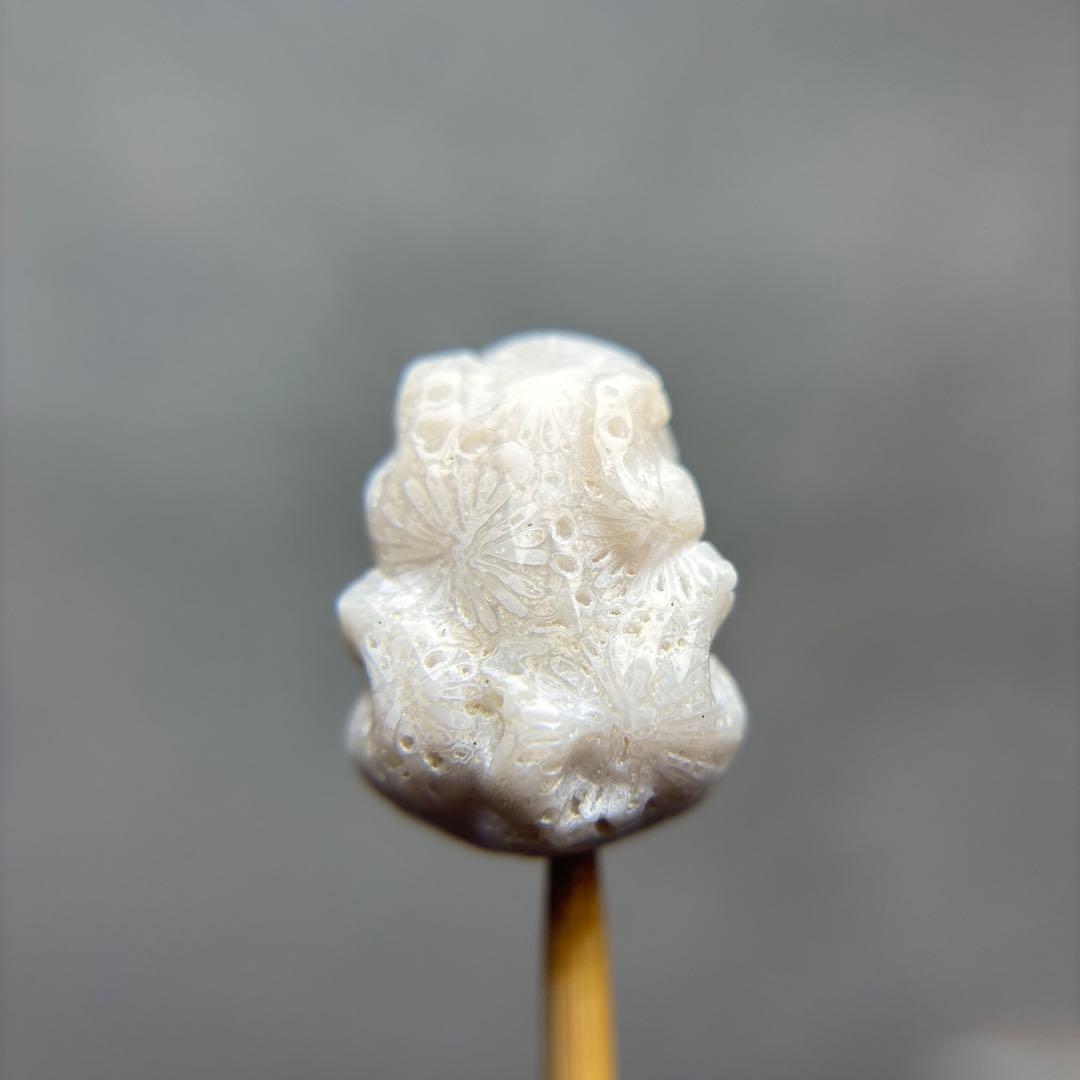 あずきちゃんフォッシルコーラル　貔貅パーツ　1-163