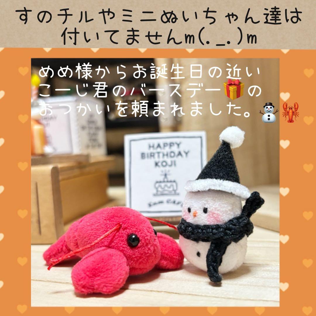 すのチル　服　小物　こーじ君のバースデーSET オーダーページ