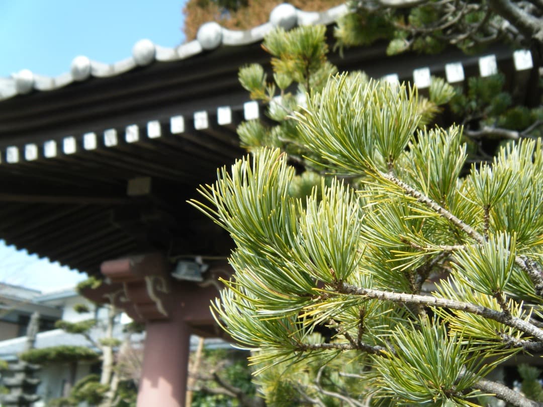 追加あり⭕️良品【動作確認済】FUJIFILM 防水 FinePix Z33WP