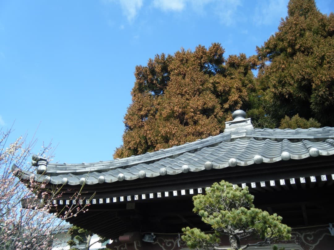 追加あり⭕️良品【動作確認済】FUJIFILM 防水 FinePix Z33WP